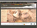 Site web de la Mission archéologique de Dikili Tash
